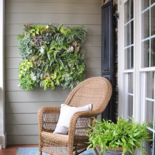 Understanding the Pamela Crawford 14" Living Wall Coco Liner Your Guide to Success