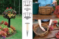 13 Pamela Crawford Container Gardens Ideas | Container Gardening ... regarding 9" Disk With Gripping Clips For Use With Pamela Crawford Baskets