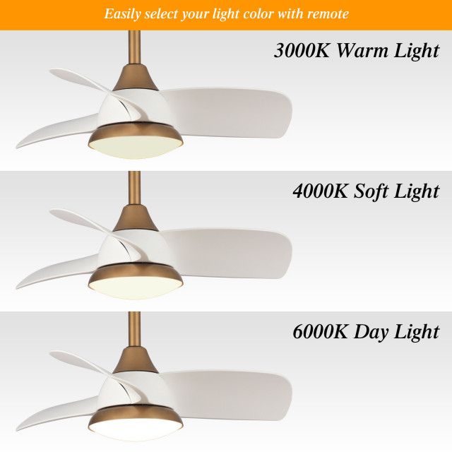 Troubleshooting Common Issues with Your Ceiling Fan A Practical Approach