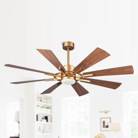 Indoor to Outdoor Transition A Deep Dive into the Versatility of Your 60-Inch Fan