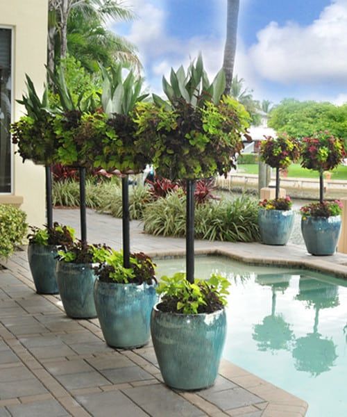 Baskets In Large Pot Photos | Pamela Crawford pertaining to Troubleshooting Common Issues with Basket Columns for Large Pots