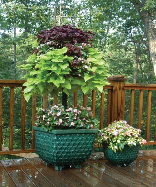 Baskets In Large Pot Photos | Pamela Crawford throughout Basket Column For Large Pots For Use With Pamela Crawford Baskets