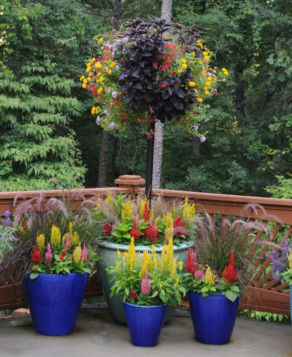 Baskets In Large Pot Photos | Pamela Crawford with Basket Column For Large Pots For Use With Pamela Crawford Baskets