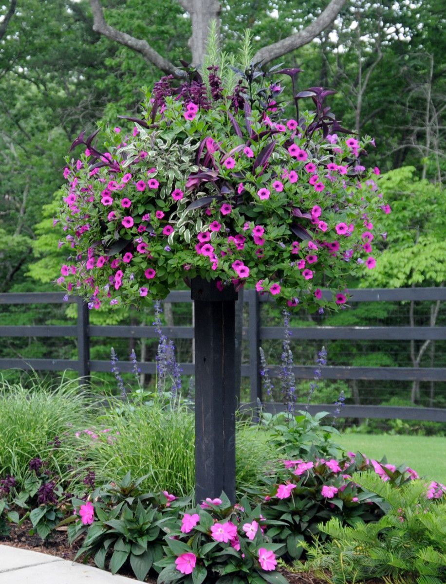 Baskets On Post Photos | Pamela Crawford | Garden Containers, Container ... inside Border Column With Metal Post For Use With Pamela Crawford Baskets