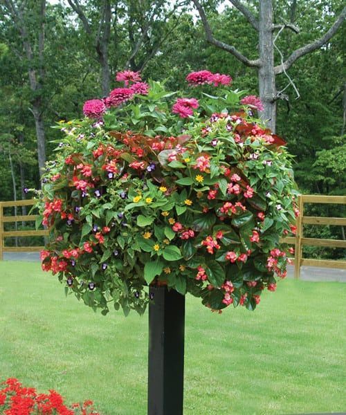 Baskets On Post Photos | Pamela Crawford In 2024 | Garden Containers ... in Designing Stunning Garden Edges The Ultimate Guide to Border Columns and Metal Posts