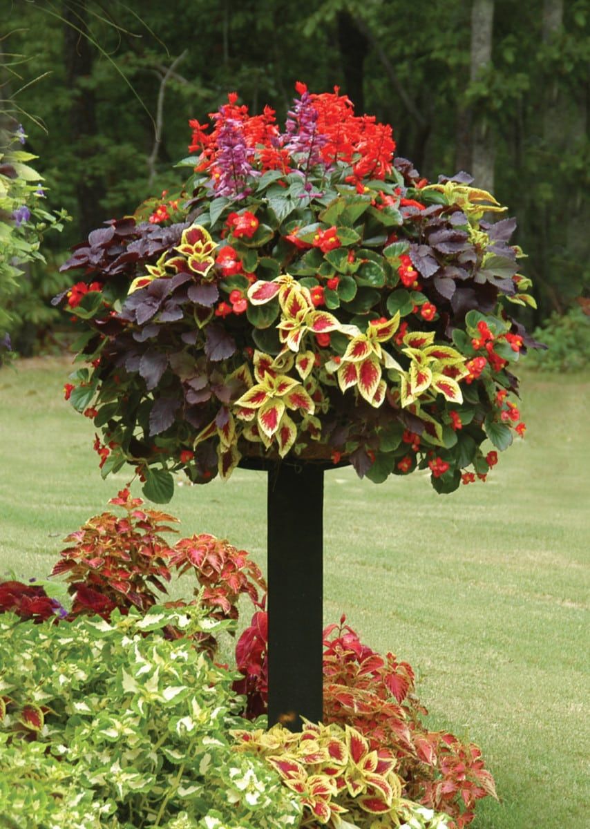 Baskets On Post Photos | Pamela Crawford in 9" Disk With Gripping Clips For Use With Pamela Crawford Baskets