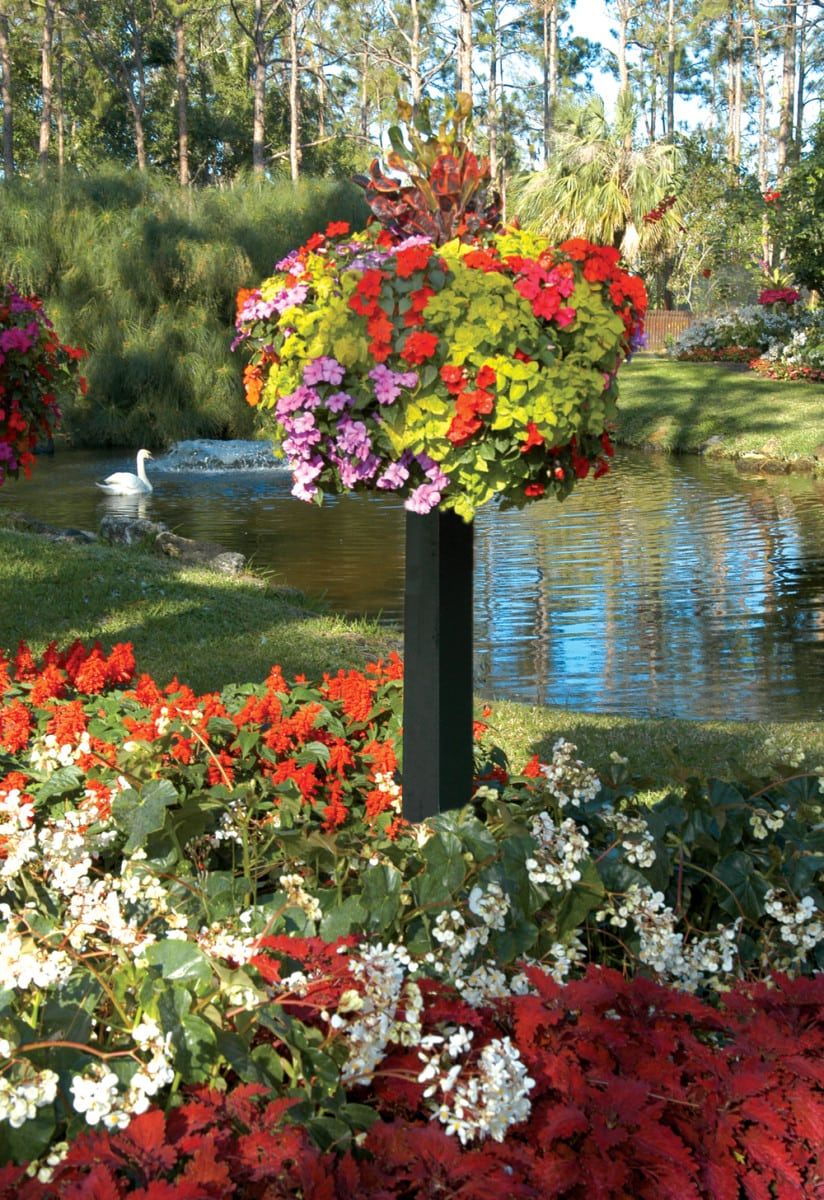 Baskets On Post Photos | Pamela Crawford in 9" Disk With Gripping Clips For Use With Pamela Crawford Baskets