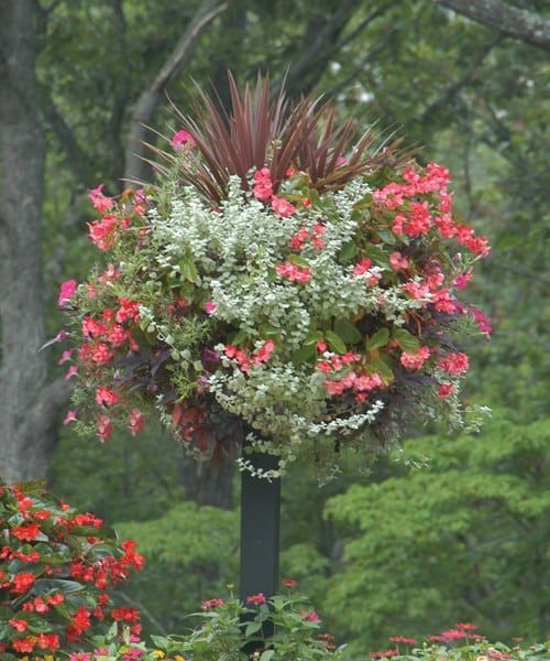 Baskets On Post Photos | Pamela Crawford inside Beyond the Basics Understanding the Role of 9" Disks and Gripping Clips