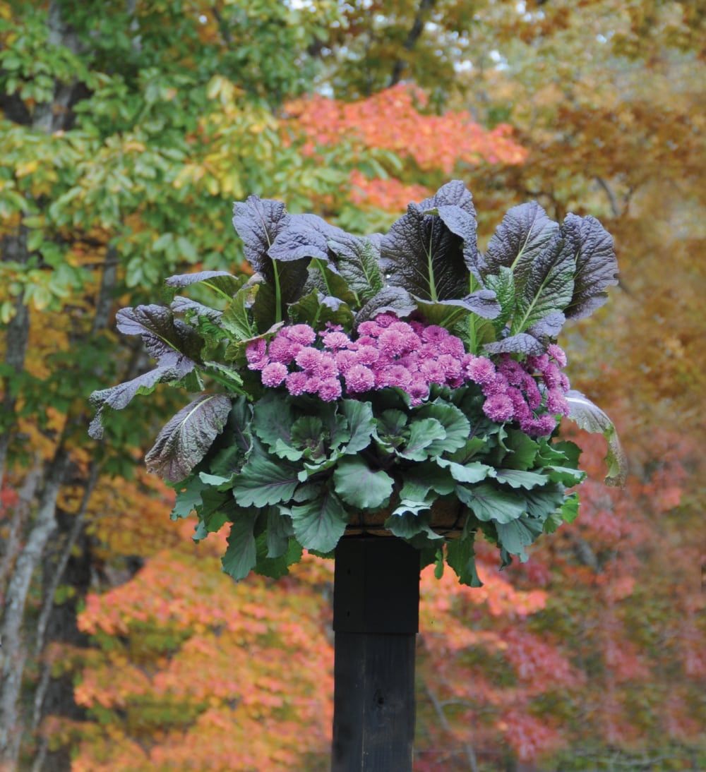 Baskets On Post Photos | Pamela Crawford throughout 9" Disk With Gripping Clips For Use With Pamela Crawford Baskets