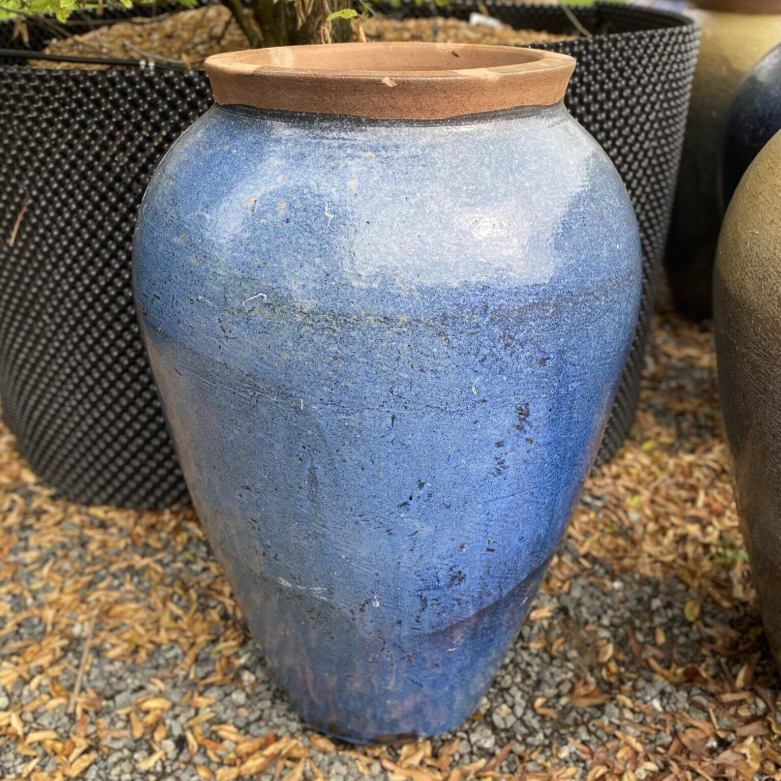Haikou Yakuta Water Jar - Architectural Plants with Vapor Jar, Architectural Bronze