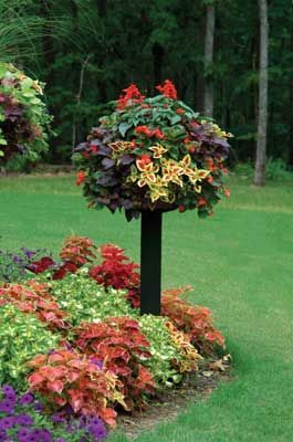 Home - Vertical Gardening Systems | Plants, Easy Care Plants, Container ... in Troubleshooting Common Issues with Your Pamela Crawford Border Columns