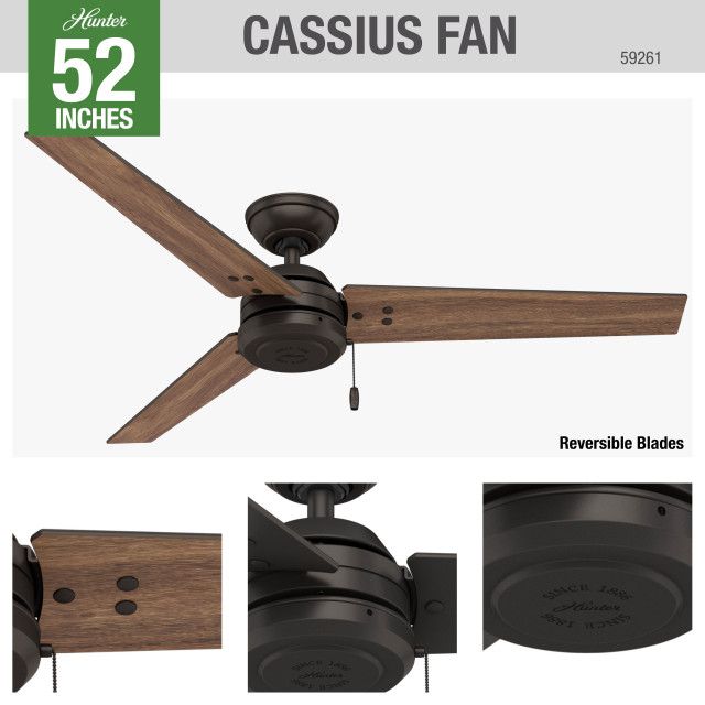 Hunter Fan Company 52" Cassius Ceiling Fan, 52" - Transitional ... in Hunter 59263 Cassius - 52" Ceiling Fan