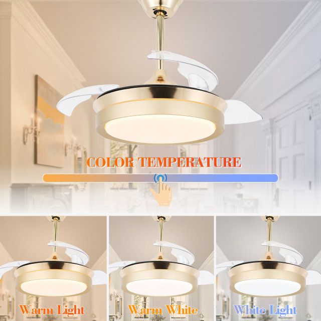 Modern Retractable Ceiling Fan 6-Speed Reversible Motor With Remote And ... regarding Modern Retractable Ceiling Fan 6-Speed Reversible Motor With Remote And Light, French Gold, 36"