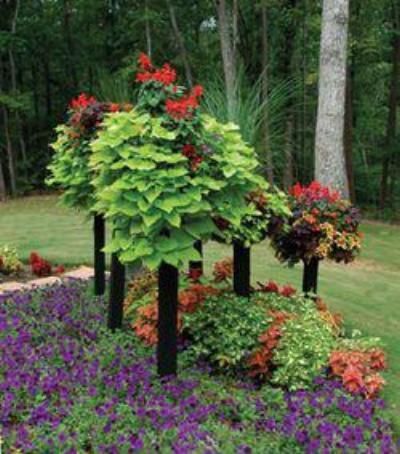 Pamela Crawford Border Column Kits (Basket Not Included) - 42 | Garden ... with regard to Troubleshooting Common Issues with Your Pamela Crawford Border Columns