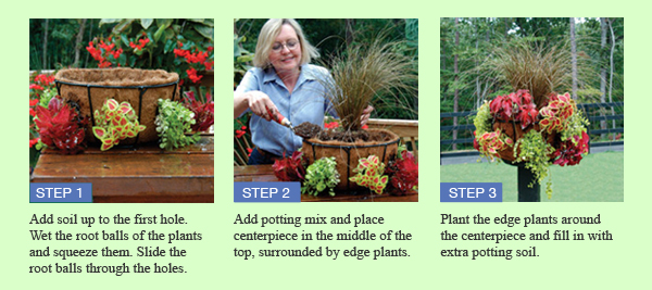 Pamela Crawford Garden Planters | Kinsmangarden.com | Container Flowers ... in Beyond the Basics Advanced Tips and Tricks for Pamela Crawford's Side Planting Baskets