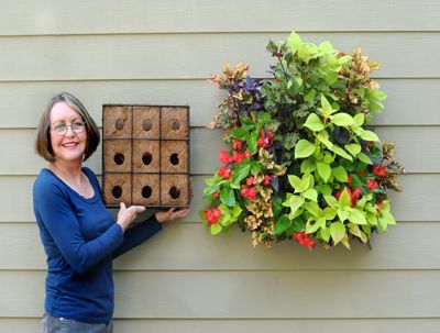 Pamela Crawford Side Planting Containers | Kinsman Garden intended for Pamela Crawford Side Planting Baskets
