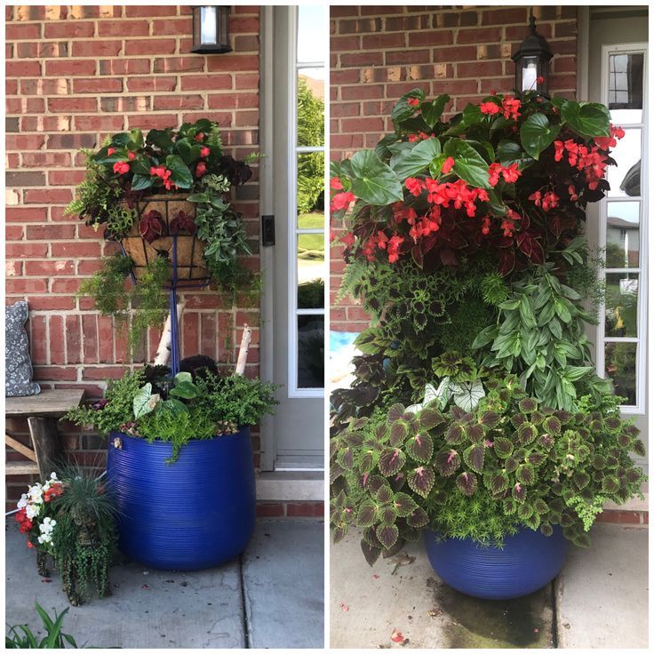 Pamela Crawford Side Planting | Plants, Flower Garden, Container Gardening intended for Beyond the Basics Advanced Tips and Tricks for Pamela Crawford's Side Planting Baskets