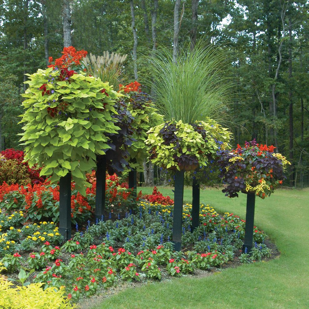 Side-Planted Baskets On Border Columns - Transitional - Landscape ... with Border Column With Metal Post For Use With Pamela Crawford Baskets