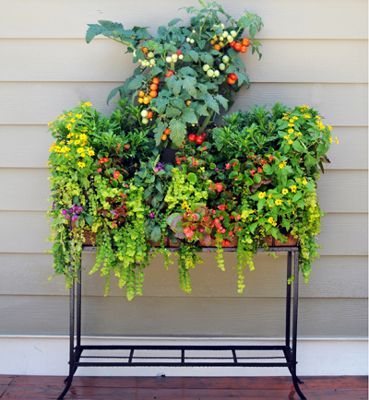 Side Planting Baskets-Side Planting Window Box Stands: Pamela Crawford ... with regard to Beyond the Basics Advanced Tips and Tricks for Pamela Crawford's Side Planting Baskets