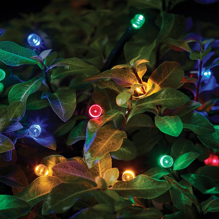 Solar String Light Set | Wide Range Of Solar Garden Lighting In Stock for 20 Count Solar String Light Set