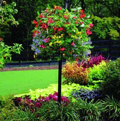 The Colorful Flowers Are Blooming On The Tree In The Garden, While The ... within Pamela Crawford Border Column Kit