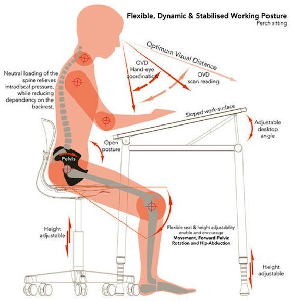 Ergonomic Chair Design Basics in The Ergonomics of Relaxation Understanding the TATEUS Chair's Design