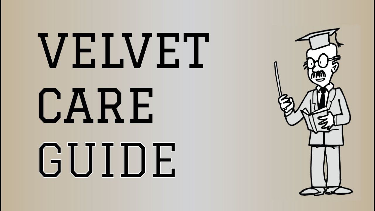 Velvet Comfort The Ultimate Guide to Care and Maintenance