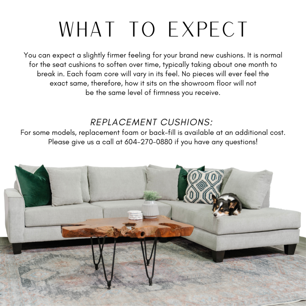 Upholstery Care Guide - Q Living Furniture with Caring for Your Beige Upholstery June Sofa A Practical Guide