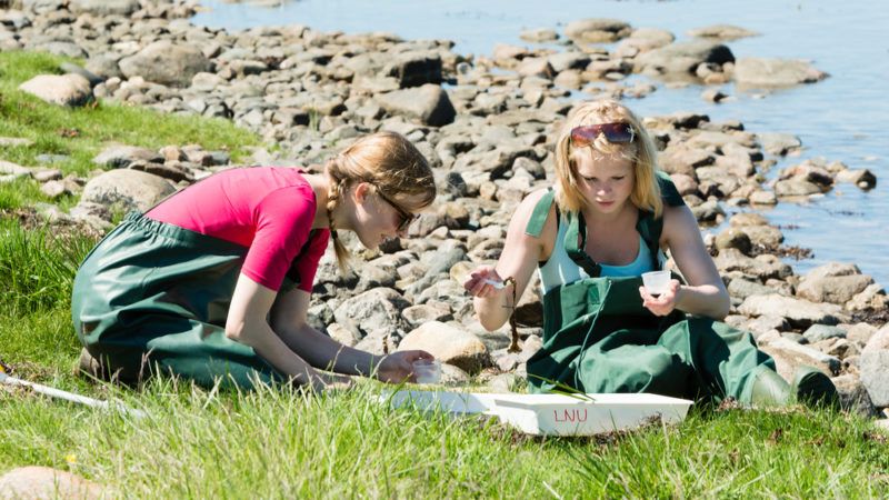 Real-World Experiences Are Crucial For Students - Giving Compass intended for Beyond the Showroom Real-World Experiences with the Baxton Studio Reverie Sectional