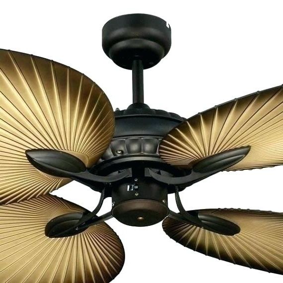 2025 Best Of Tropical Outdoor Ceiling Fans With Lights inside Choosing the right outdoor ceiling fan for your tropical kitchen setup