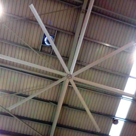 Awf49 Large Outdoor Ceiling Fans , High Volume Low Speed Industrial Fans intended for Understanding airflow needs in outdoor commercial ceiling fan installations