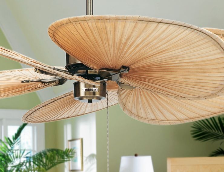 Coastal Decor Ideas Interior Design Diy Shopping: Ceiling Fan Ideas For ... in Maintaining Tropical Palm Blade Ceiling Fans in Harsh Weather Conditions