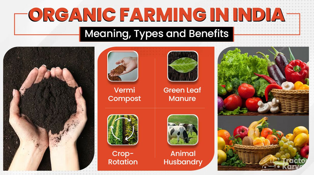 Organic Farming - Meaning, Types, Benefits &amp; Importance within Organic Nesting Table, Gunmetal/Grey Marble, Small