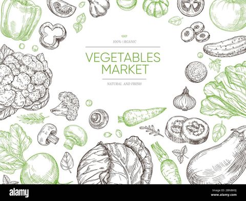 Organic Sketch Stock Vector Images - Alamy throughout The Versatility Story of Your Organic Small Nesting Table