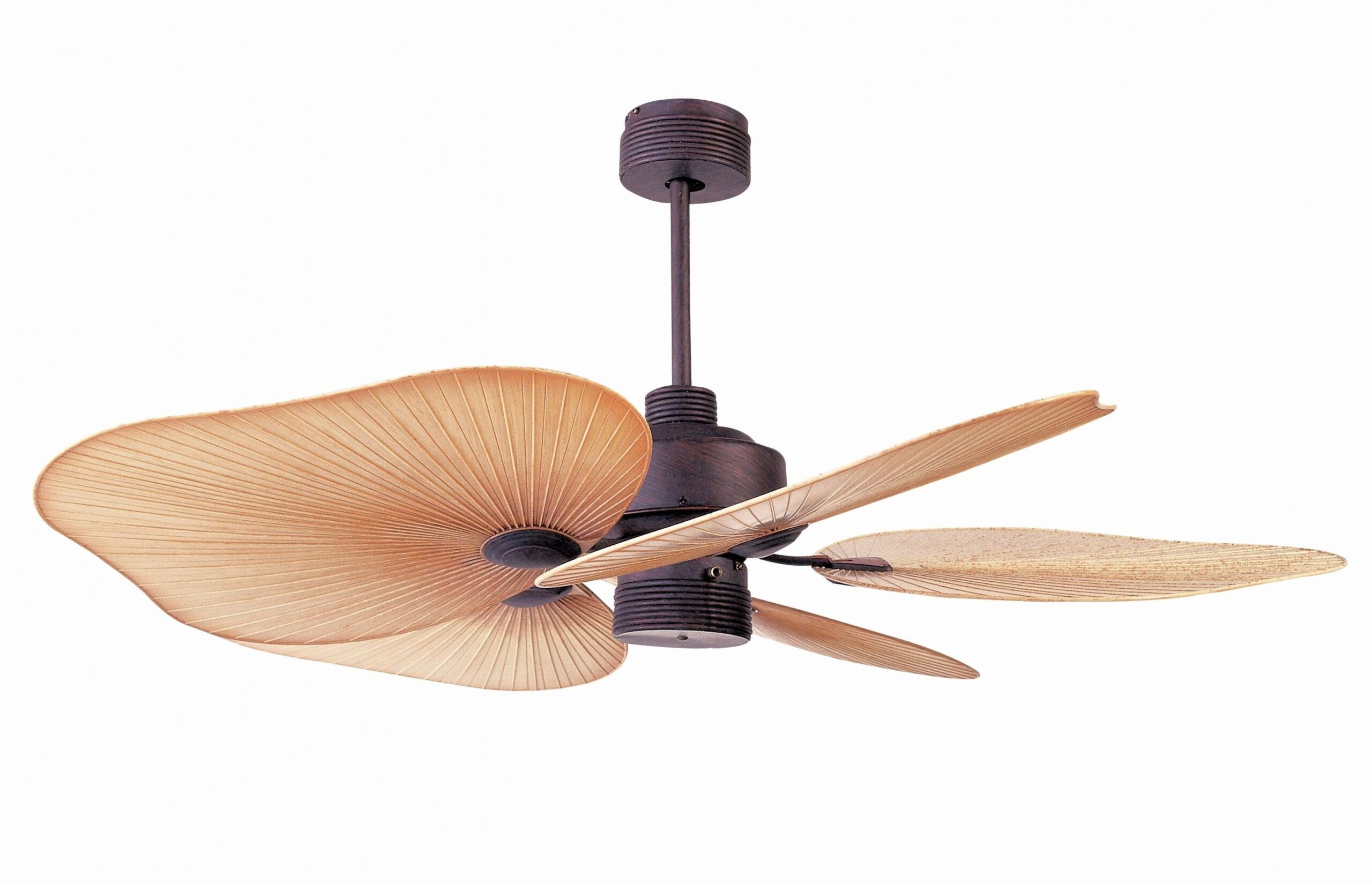The 20 Best Collection Of Tropical Design Outdoor Ceiling Fans for Outdoor Ceiling Fan For Tropical Resort Style