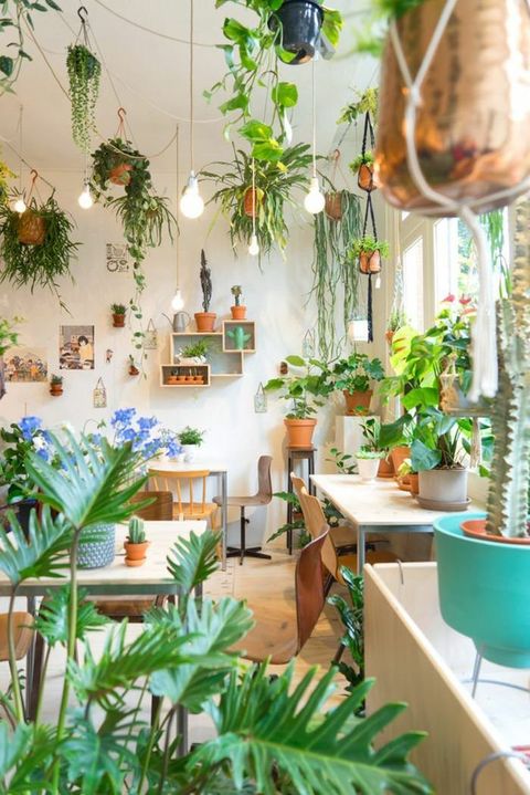10 Beautiful Ways To Decorate Indoor Plant In Living Room pertaining to Compact plant solutions that thrive in small living rooms