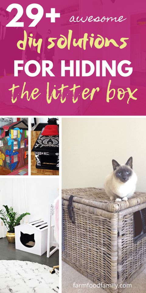 29+ Awesome Diy Ideas And Solutions For Hiding The Litter Box with Diy Hide Litter Box Ideas