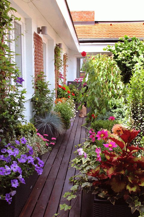 30 Stunning Balcony Garden Ideas That Will Inspire You with regard to Vertical Gardens on Tiny Balconies Creative Space-Saving Ideas