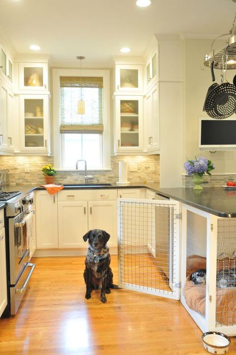 35 Amazingly Dog Space Ideas That Friendly At Home | Housetodecor.com pertaining to Small Spaces Pet Friendly Ideas