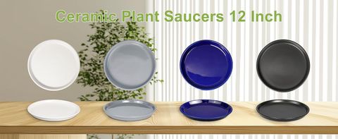 Amazon.com : Epfamily Plant Pot Saucers - Ceramic Plant Saucers For ... throughout Creating Balance in Your Kitchen with Thoughtful Plant Saucer Placement