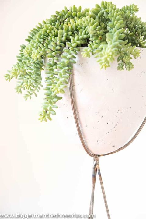 Bullet Planter Diy Tutorial regarding Why My First DIY Mini Bullet Planter Failed (And How I Fixed It)