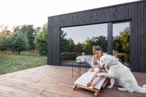 Designing For Duos: 10 Pet-Friendly Tiny Home Ideas To Elevate Your Space within The Dog Friendly Home Mistake That Cost Me $1,500 to Fix