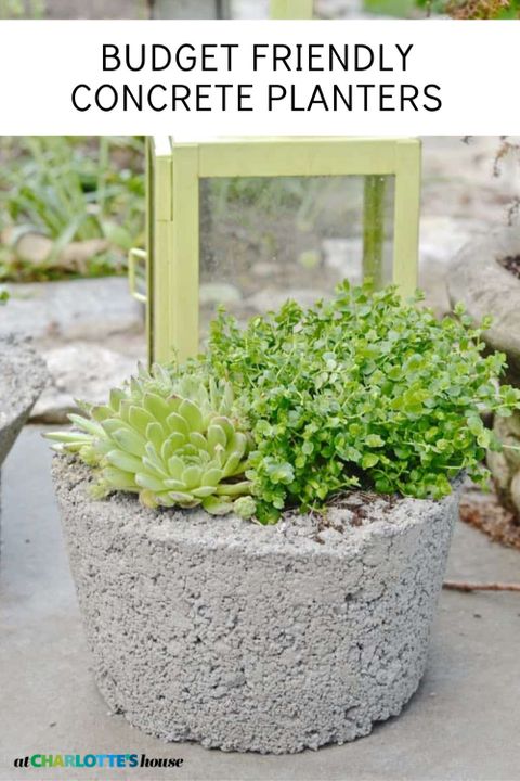 Diy Budget Concrete Planters - At Charlotte's House intended for Creative ways to make planters without breaking the bank
