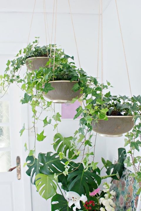 Diy Indoor Hanging Planters That Add Style To Your Space • The Garden Glove in Diy Hanging Planters Indoors