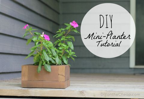 Diy Mini-Planter Tutorial - Erin Spain in Why My First DIY Mini Bullet Planter Failed (And How I Fixed It)