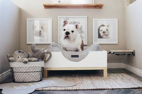 Dog Bed Ideas For Small Spaces At Lauren Murphy Blog with Transforming cramped living areas into happy pet havens