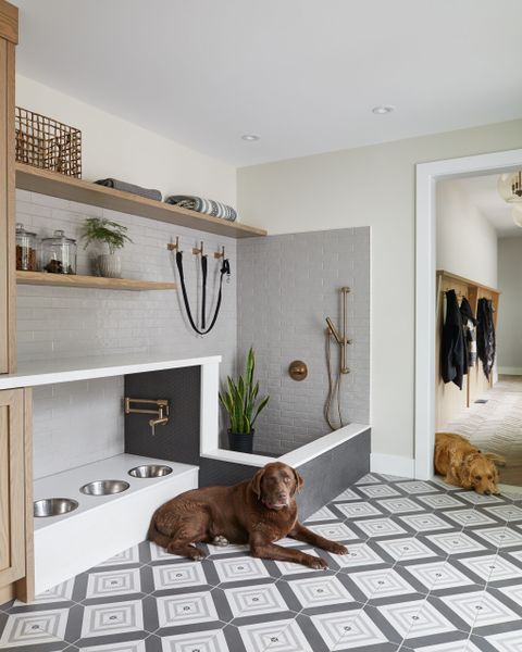 Doggy Heaven | Dog Room Design, Flex Space Ideas, Dream House inside The Dog Friendly Home Mistake That Cost Me $1,500 to Fix