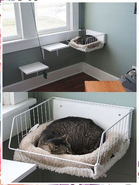 Essential Cat Bed Ideas For A Better Life For Your Feline In 2023 | Cat ... in The DIY Cat Lap Bed Mistake That Cost Me $150 (And How to Avoid It)