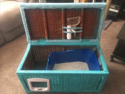 Hidden Litter Box Diy From Upcycled Wicker Chest with Why Most Diy Hidden Bookcase Litter Boxes Don't Work (And How to Fix It)