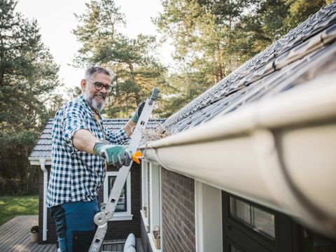 Home Improvement within Latest Stories Home Improvements